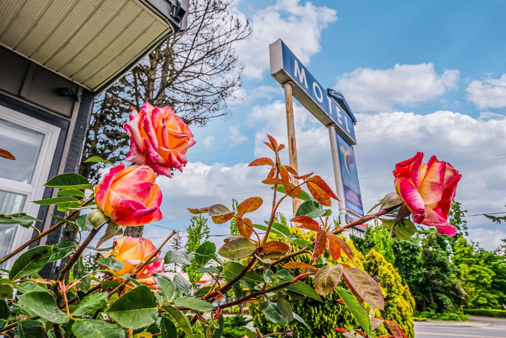 Bluebird Motel Нанаймо Экстерьер фото